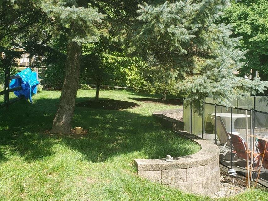 MR. TAPIA LANDSCAPING