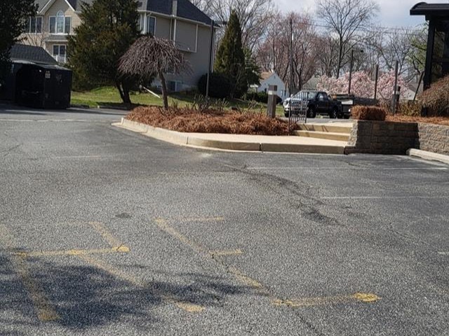 MR. TAPIA LANDSCAPING