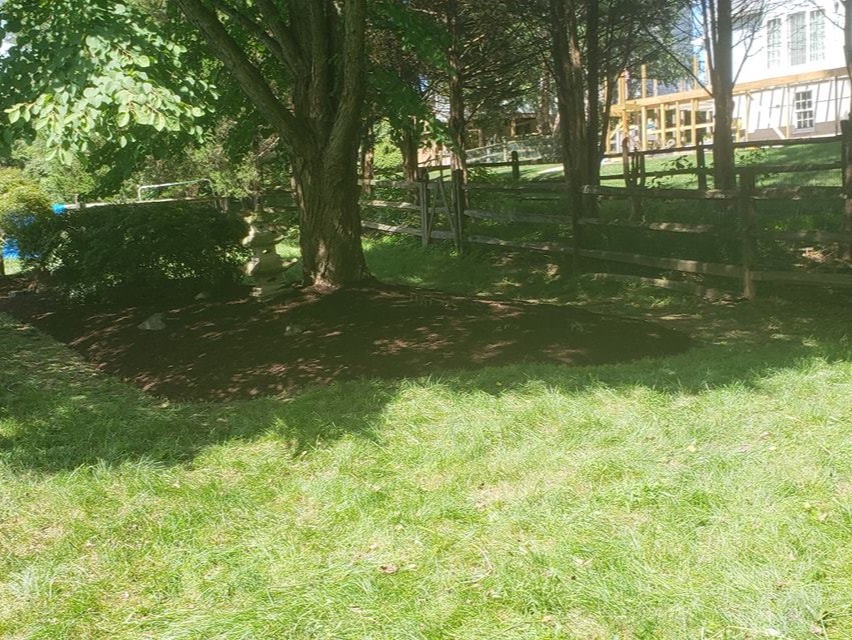 MR. TAPIA LANDSCAPING