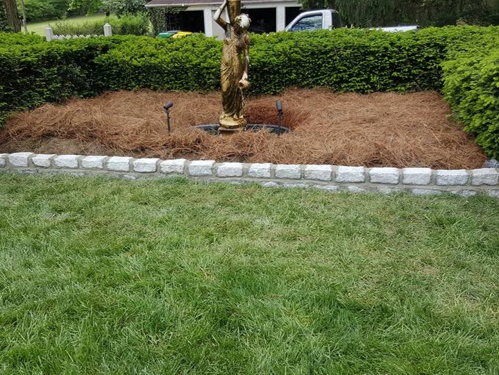 MR. TAPIA LANDSCAPING