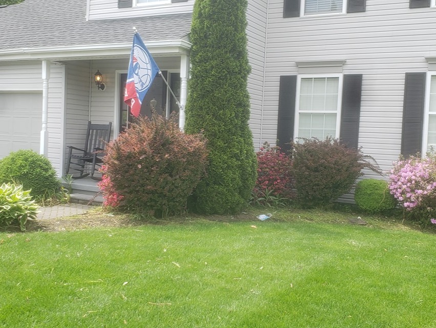 MR. TAPIA LANDSCAPING