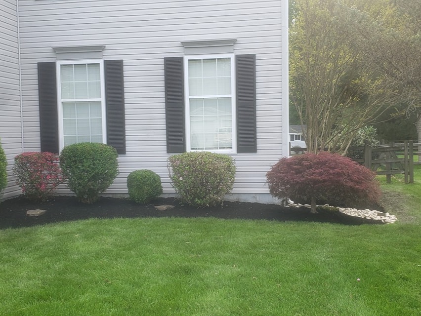 MR. TAPIA LANDSCAPING