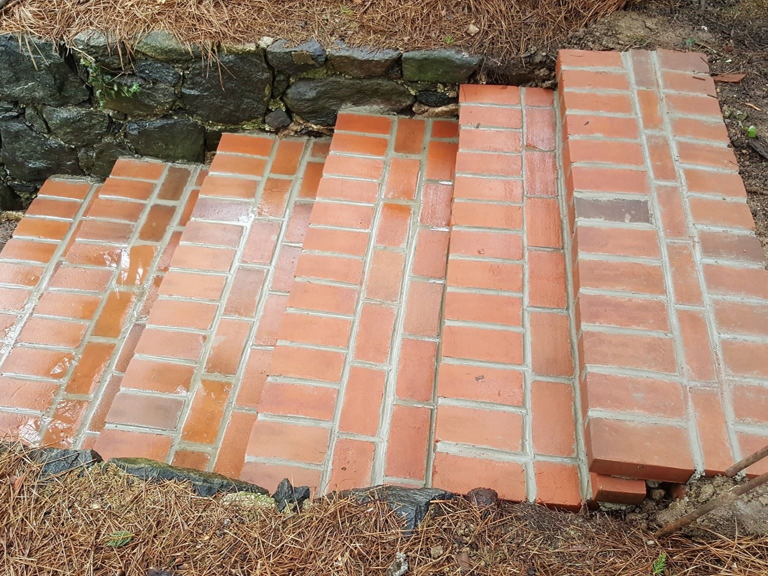 MR. TAPIA LANDSCAPING