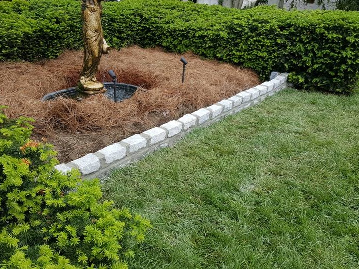 MR. TAPIA LANDSCAPING