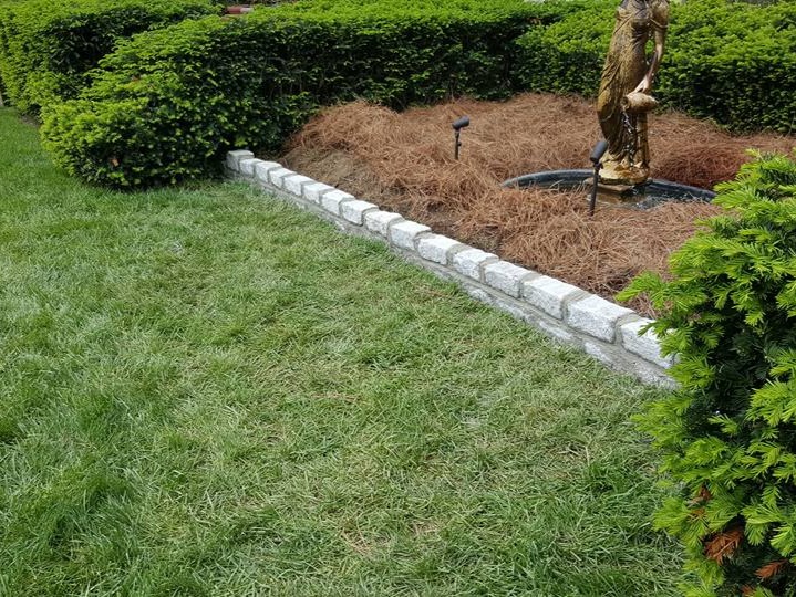 MR. TAPIA LANDSCAPING