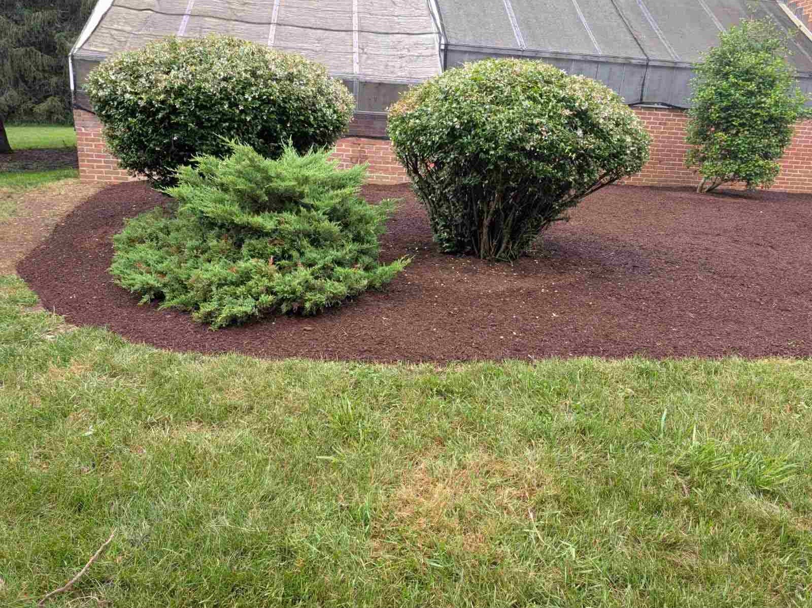 MR. TAPIA LANDSCAPING