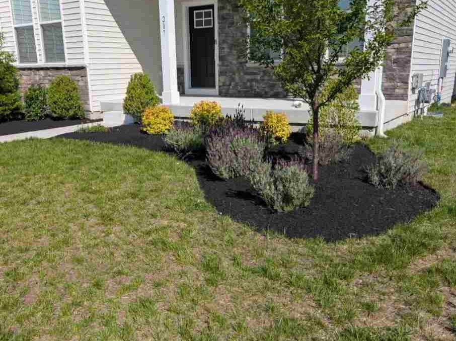 MR. TAPIA LANDSCAPING