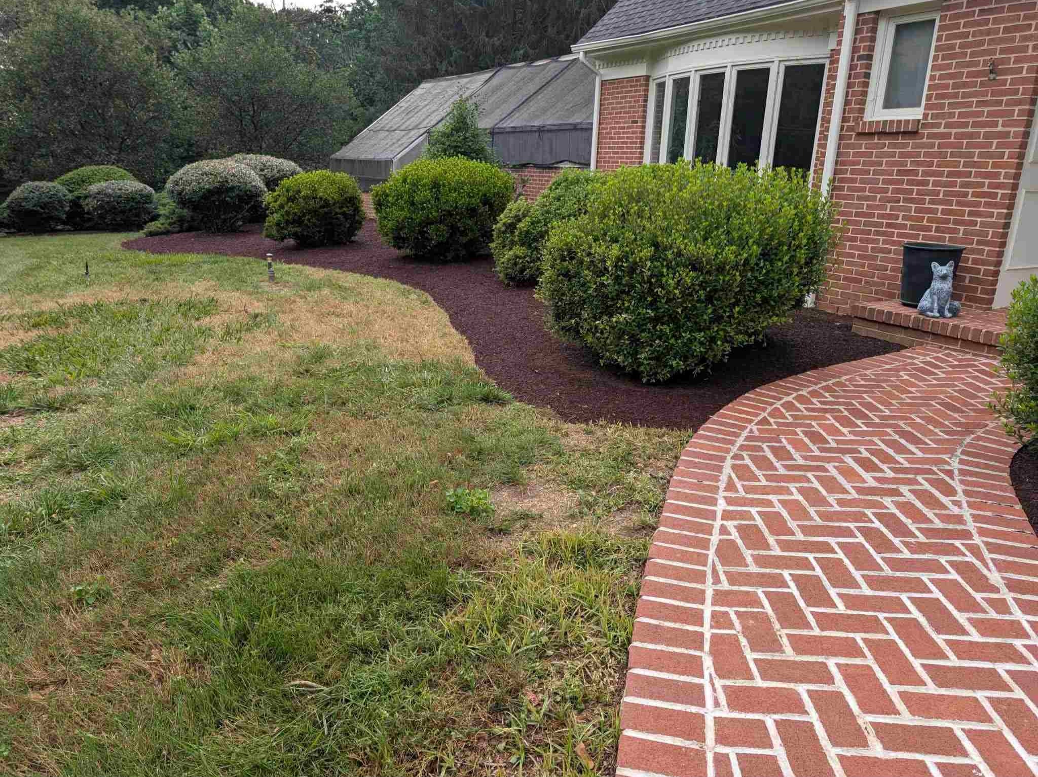 MR. TAPIA LANDSCAPING