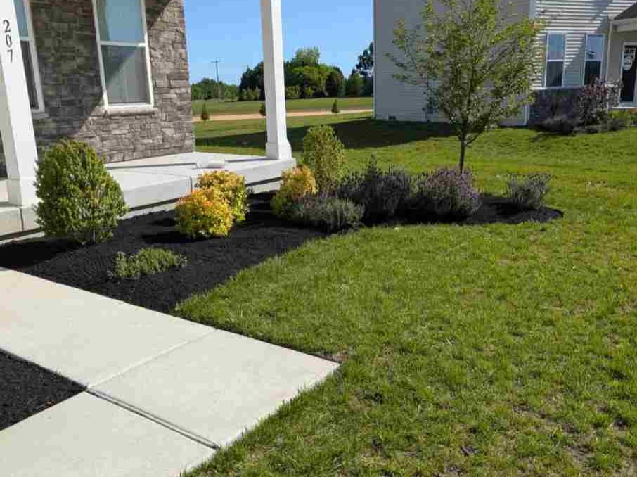 MR. TAPIA LANDSCAPING