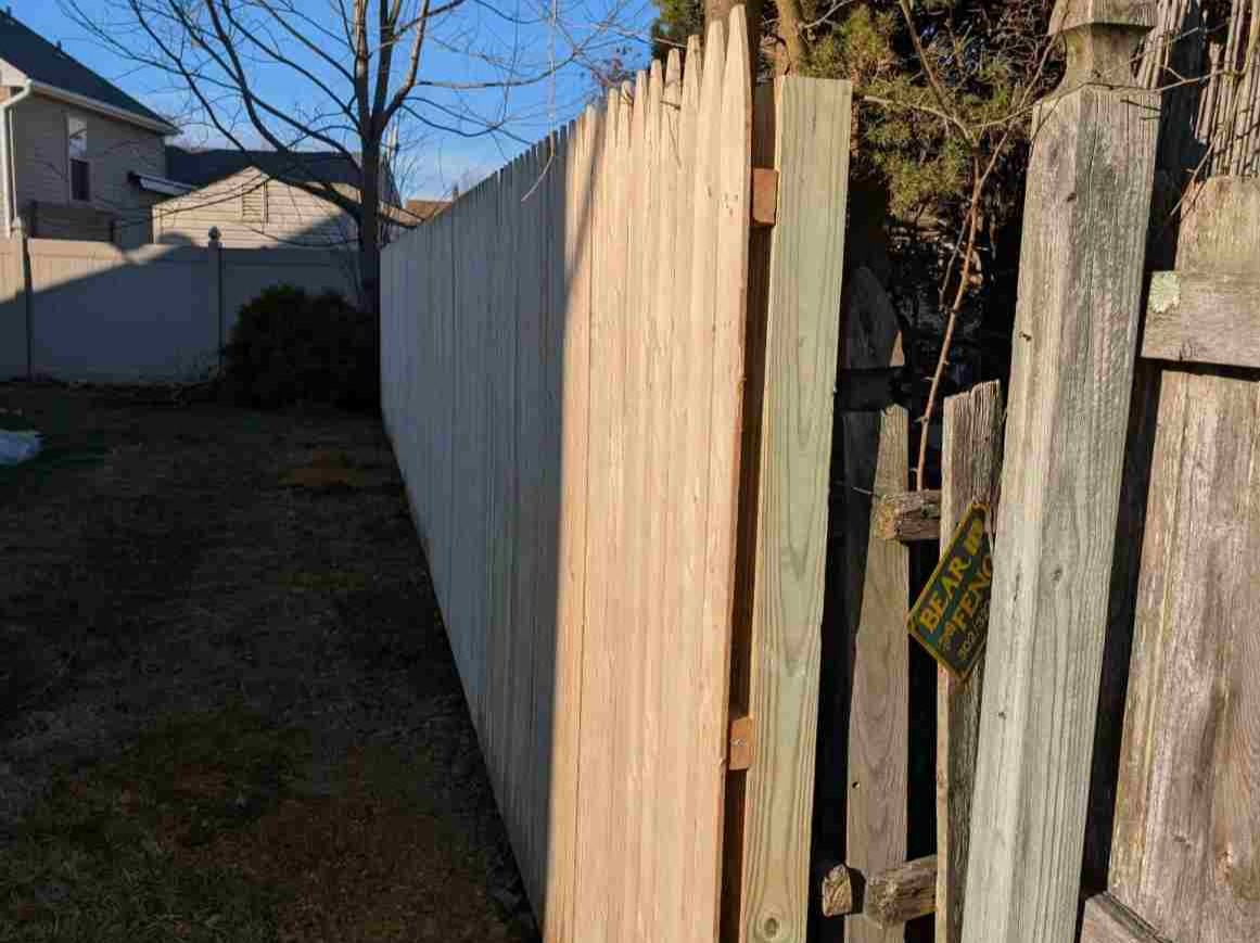 MR. TAPIA LANDSCAPING