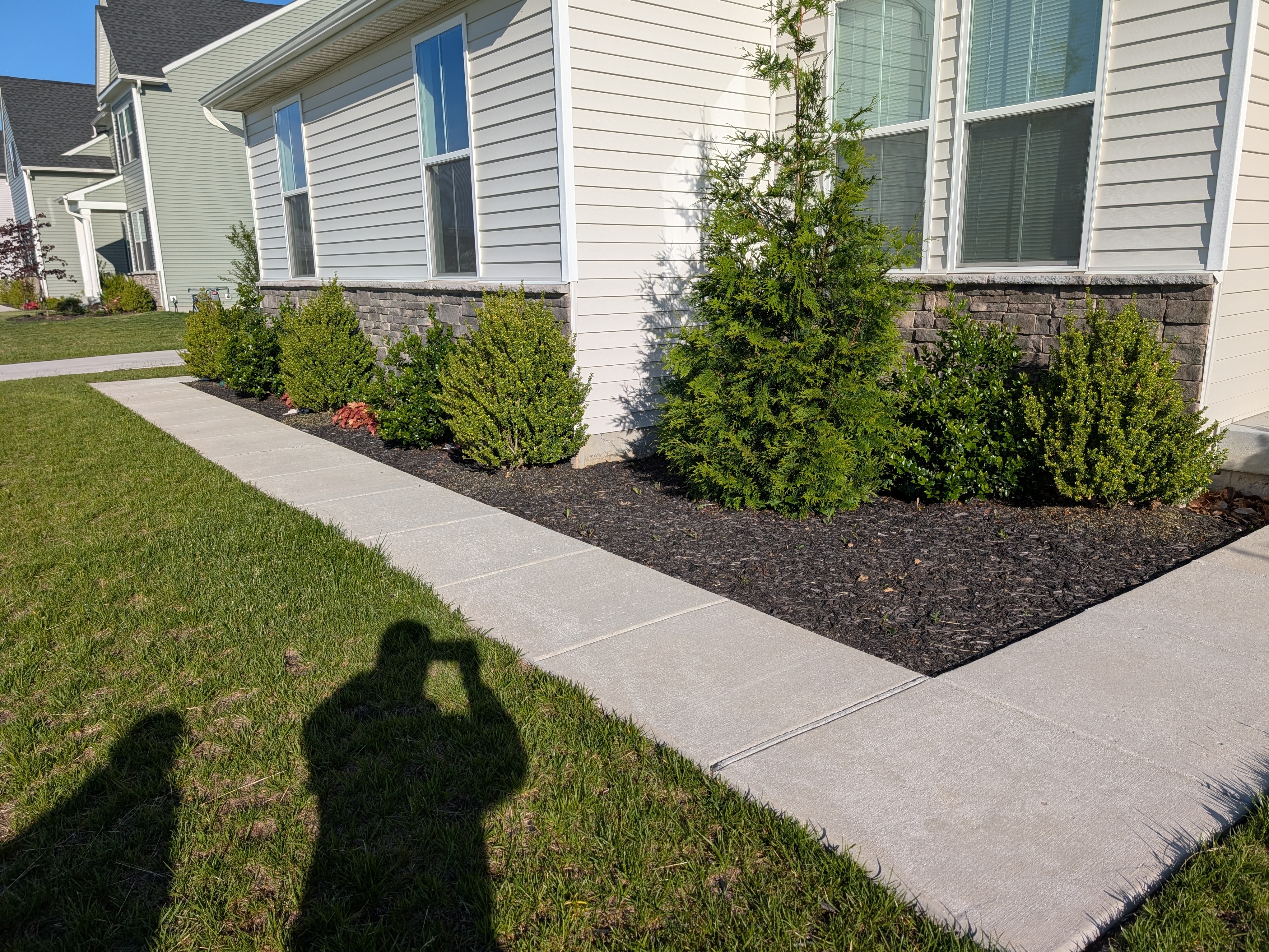 MR. TAPIA LANDSCAPING