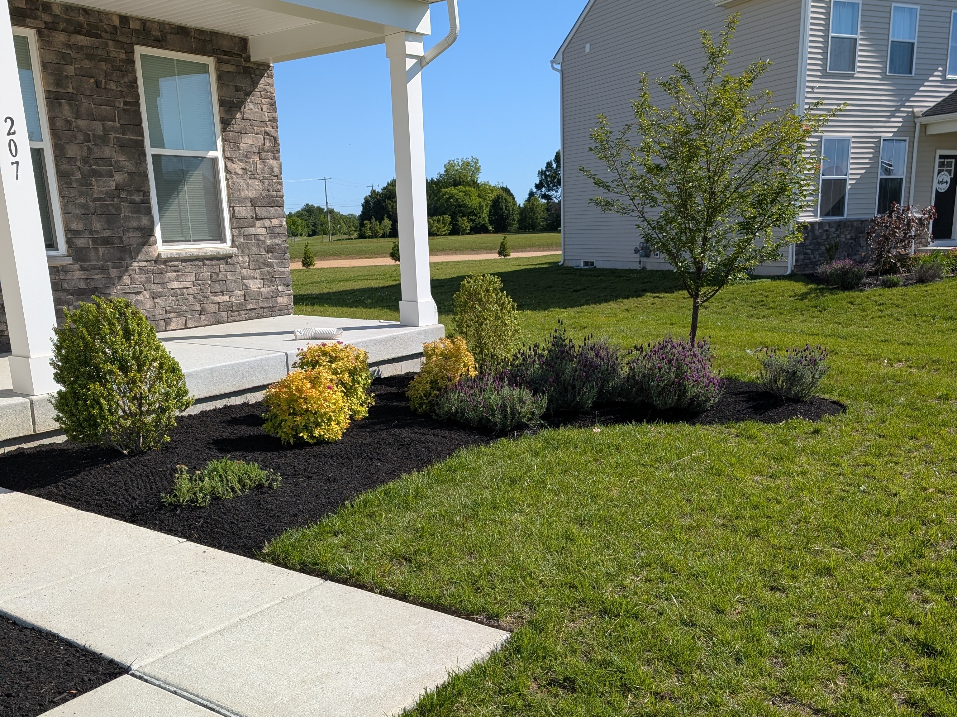 MR. TAPIA LANDSCAPING