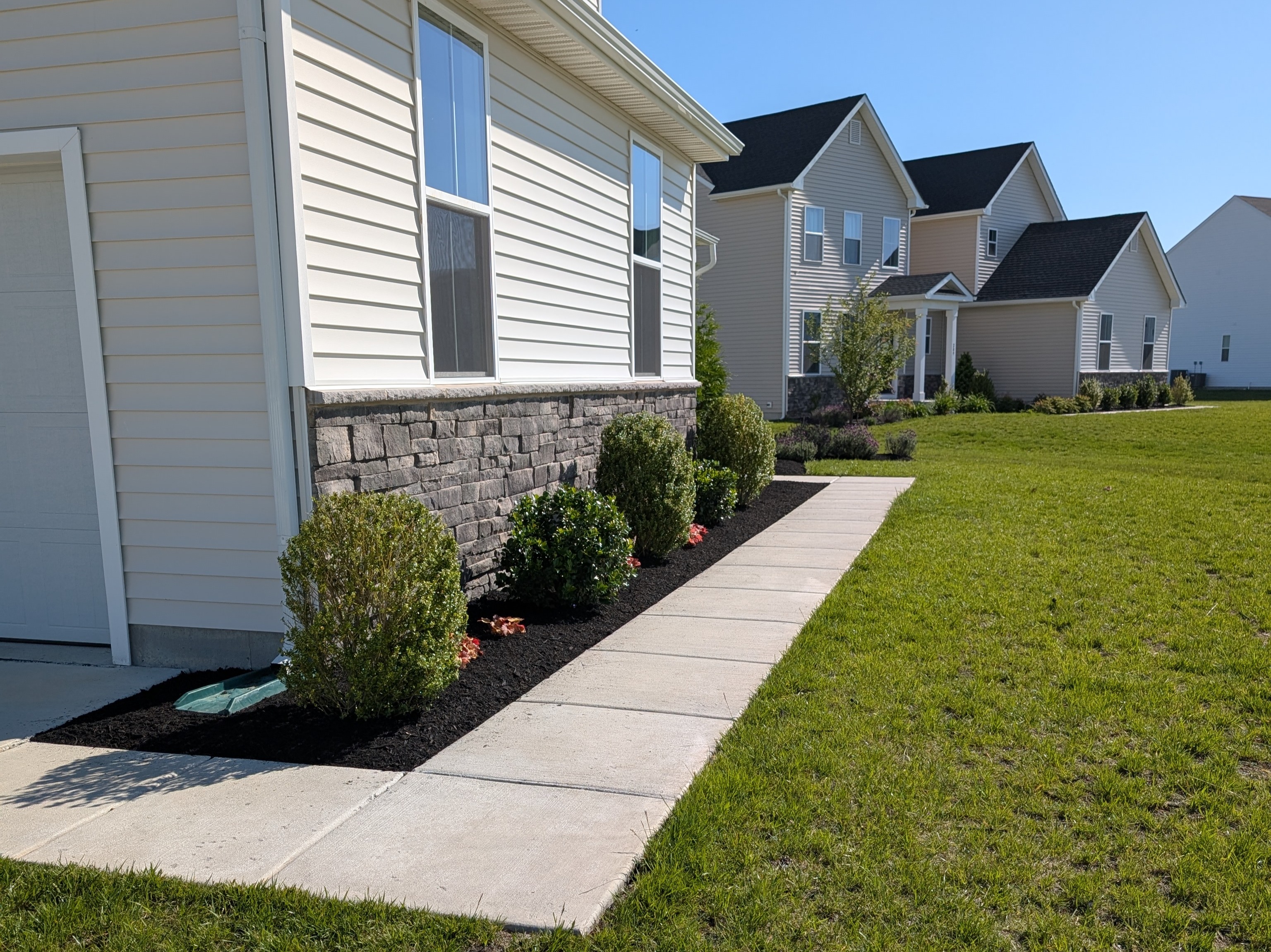 MR. TAPIA LANDSCAPING