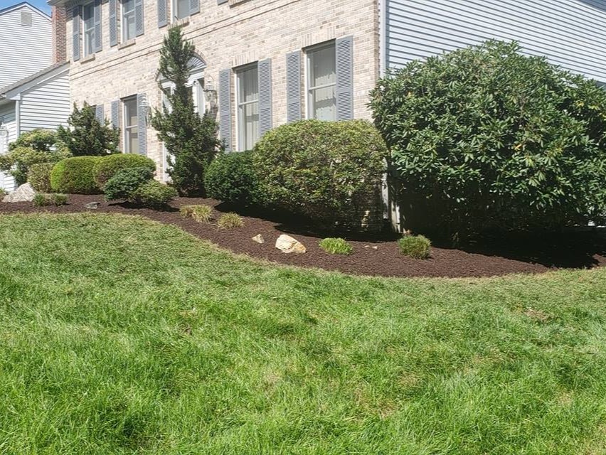 MR. TAPIA LANDSCAPING