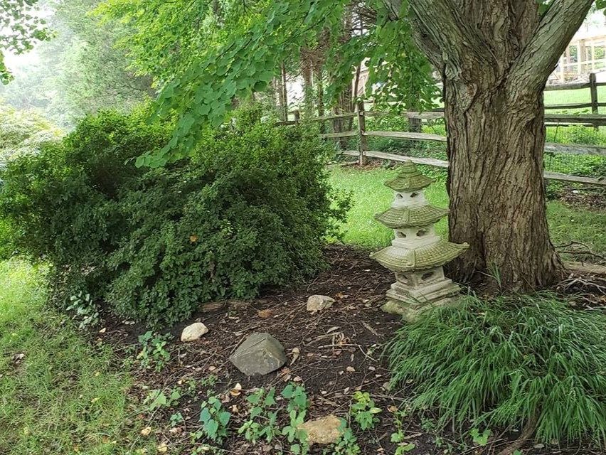 MR. TAPIA LANDSCAPING