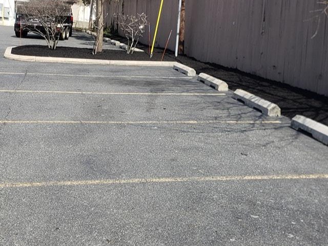 MR. TAPIA LANDSCAPING