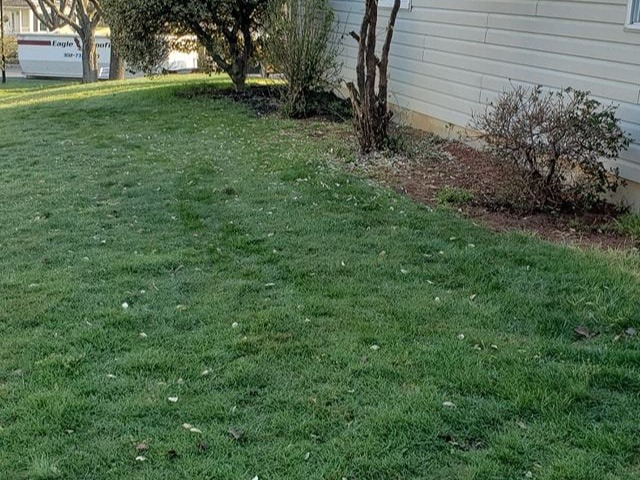 MR. TAPIA LANDSCAPING