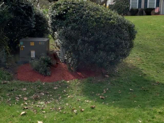 MR. TAPIA LANDSCAPING