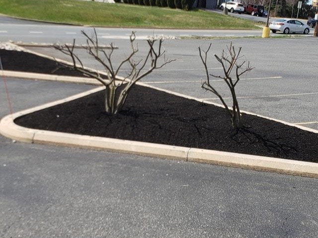 MR. TAPIA LANDSCAPING