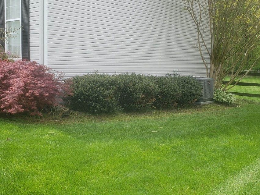 MR. TAPIA LANDSCAPING