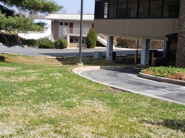 MR. TAPIA LANDSCAPING