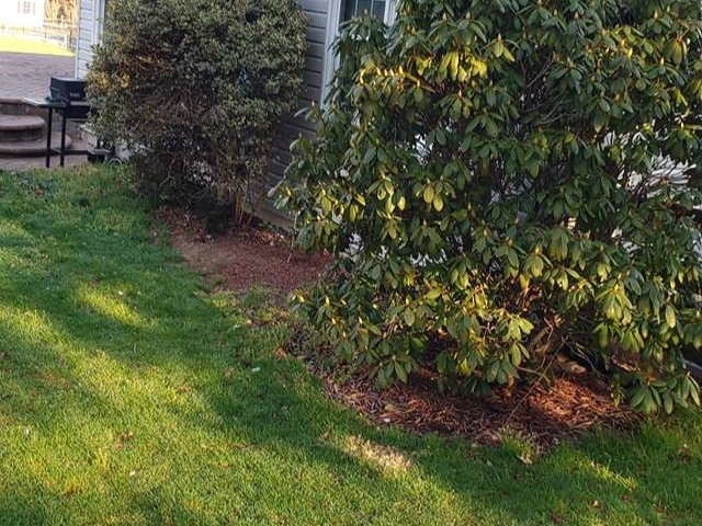 MR. TAPIA LANDSCAPING