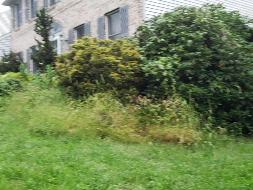 MR. TAPIA LANDSCAPING