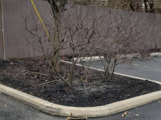 MR. TAPIA LANDSCAPING