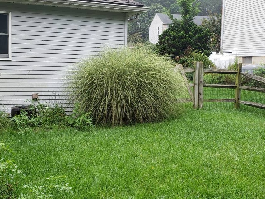 MR. TAPIA LANDSCAPING