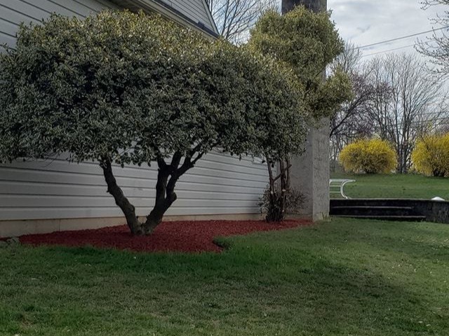 MR. TAPIA LANDSCAPING