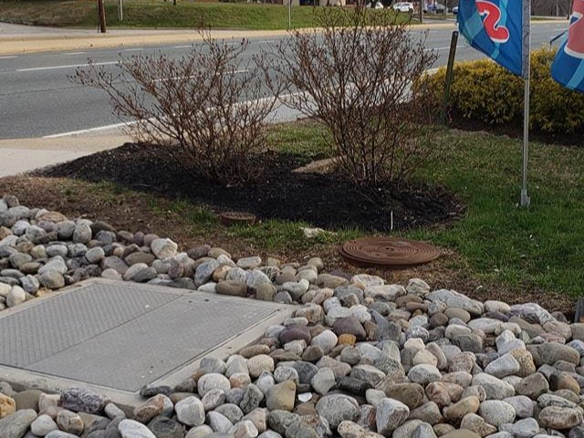 MR. TAPIA LANDSCAPING