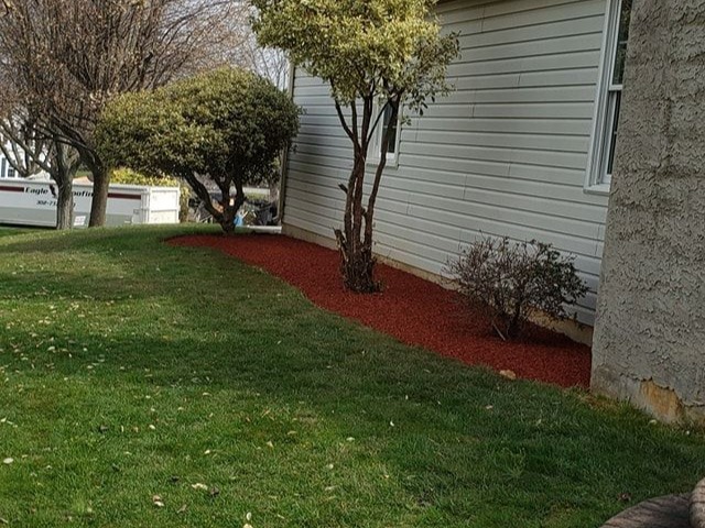 MR. TAPIA LANDSCAPING