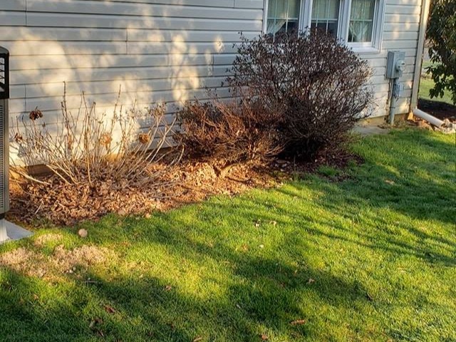 MR. TAPIA LANDSCAPING