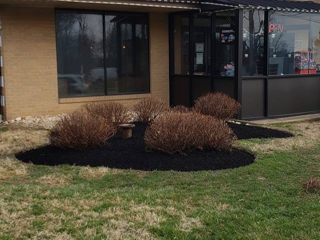 MR. TAPIA LANDSCAPING