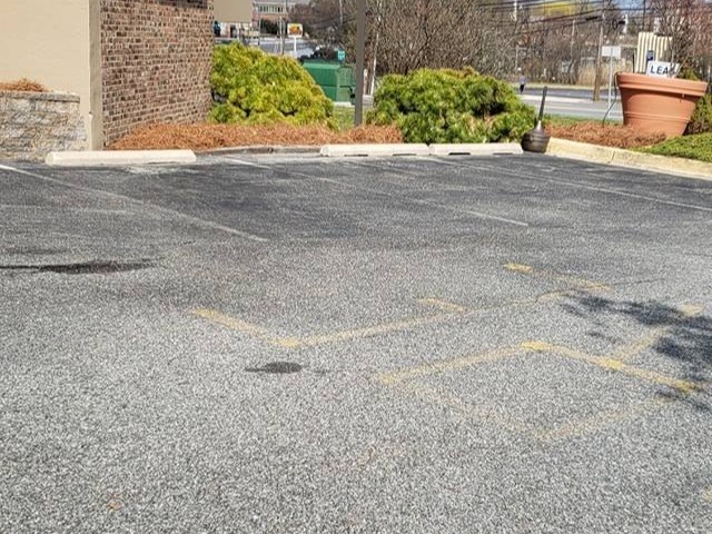 MR. TAPIA LANDSCAPING