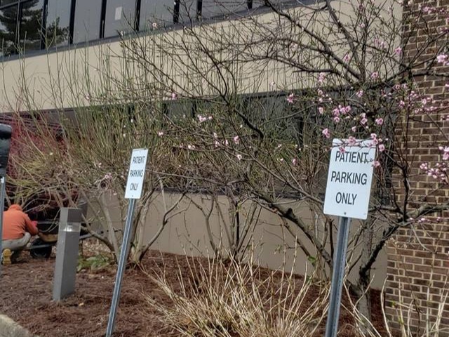 MR. TAPIA LANDSCAPING