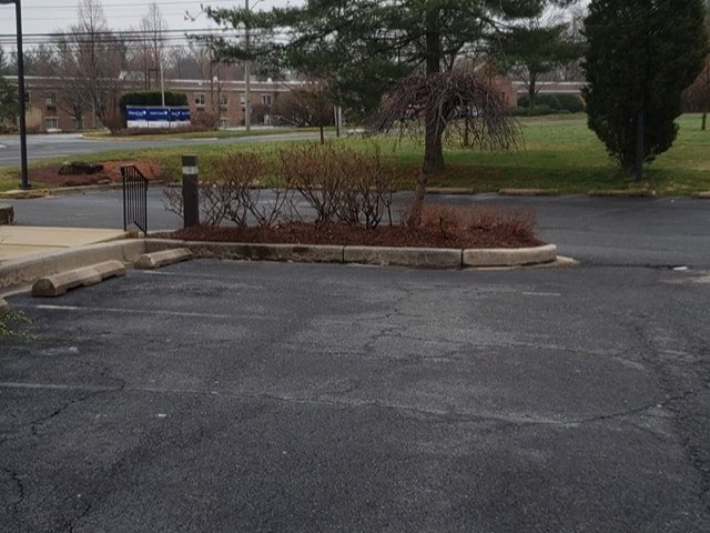 MR. TAPIA LANDSCAPING