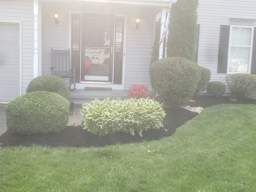 MR. TAPIA LANDSCAPING