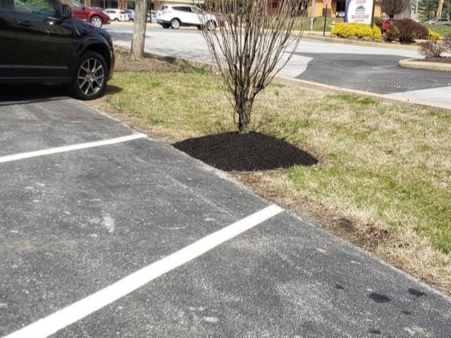 MR. TAPIA LANDSCAPING