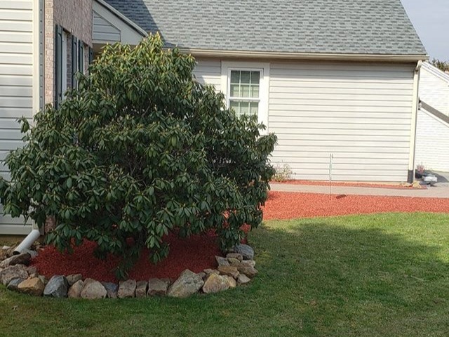 MR. TAPIA LANDSCAPING