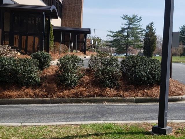 MR. TAPIA LANDSCAPING