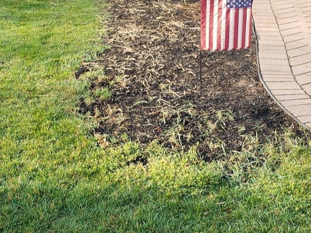 MR. TAPIA LANDSCAPING