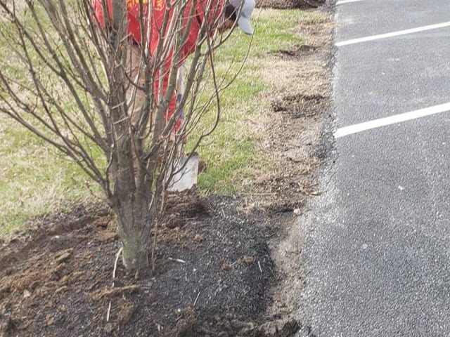 MR. TAPIA LANDSCAPING