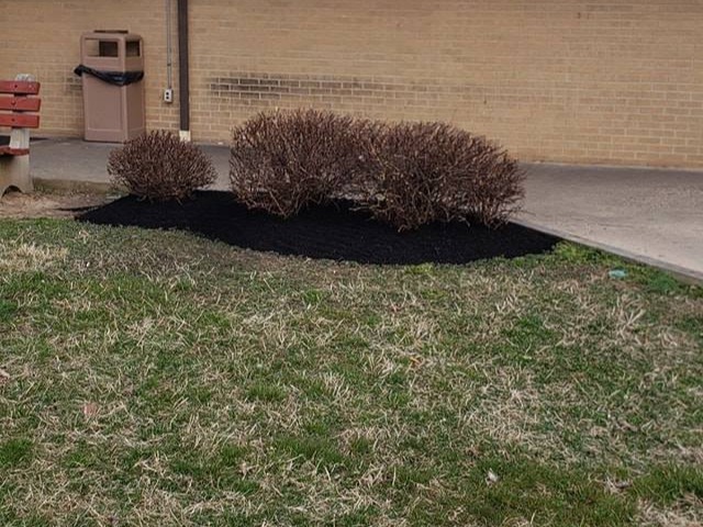 MR. TAPIA LANDSCAPING