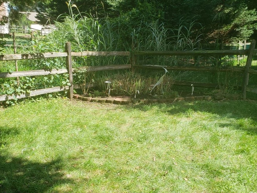 MR. TAPIA LANDSCAPING